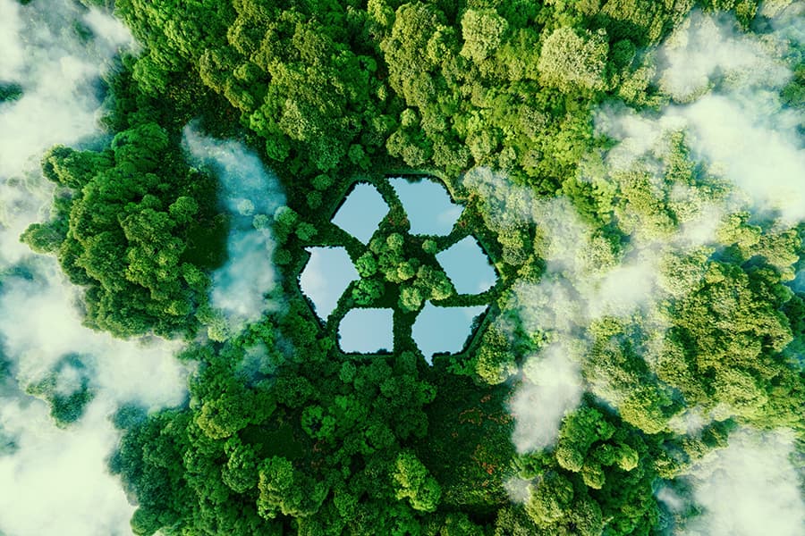 Aerial forest recycling symbol representing environmental sustainability