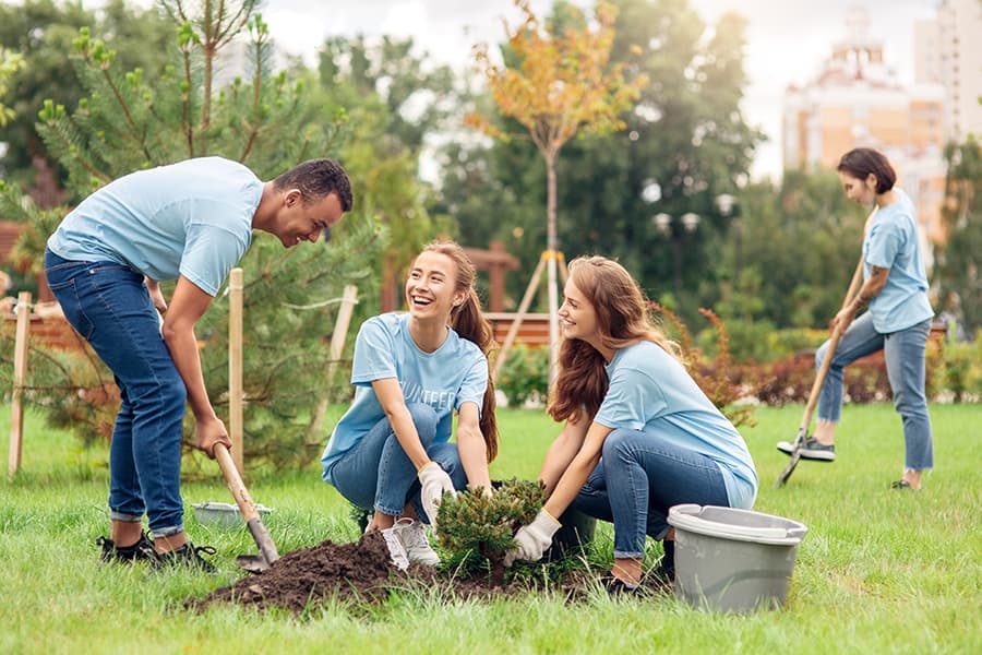 People planting trees together in a community park